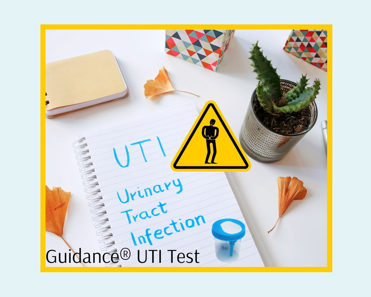 Guidance® UTI Test